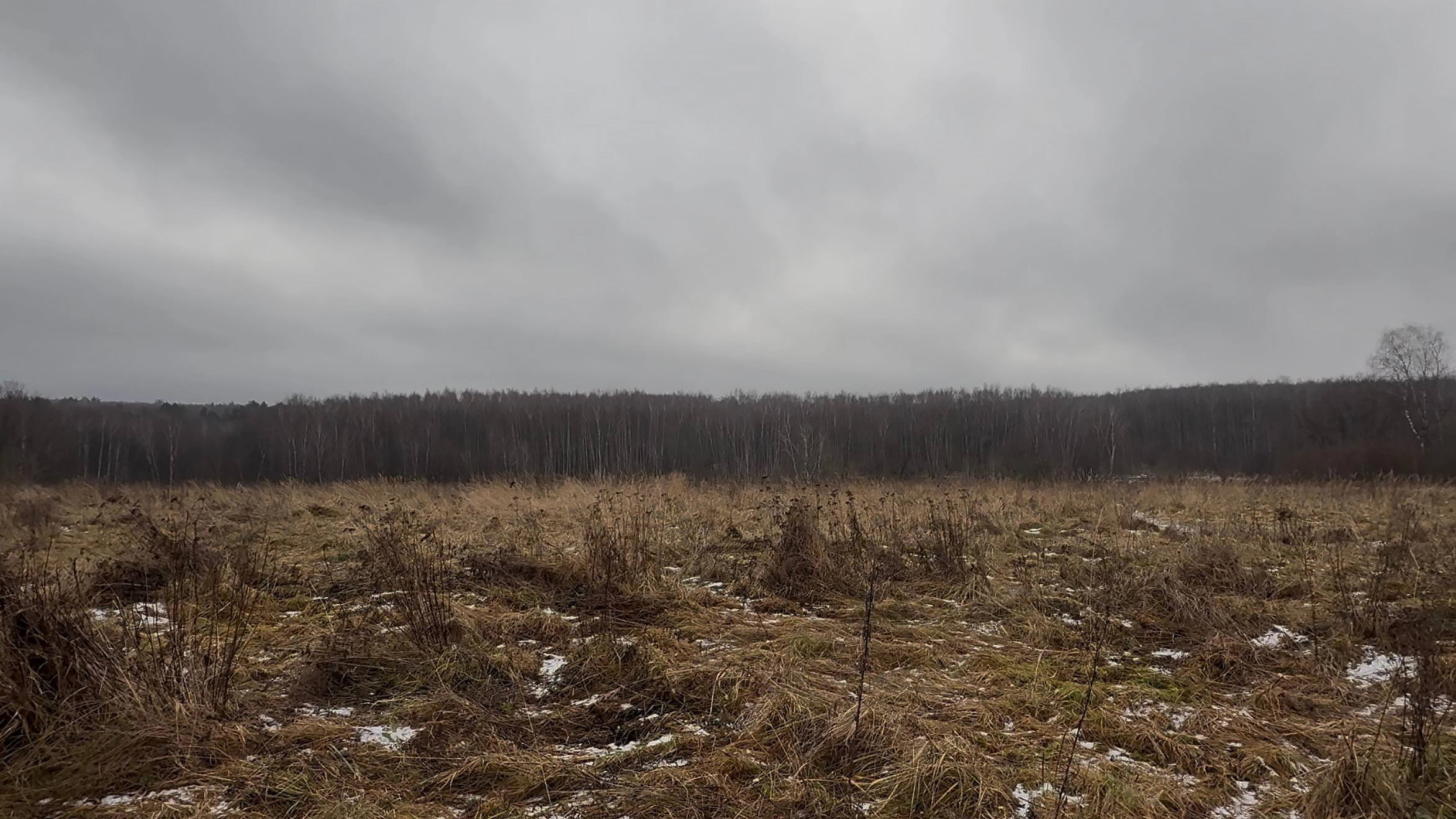 Фото реэнактмента «Появление» группы «Коллективные действия»